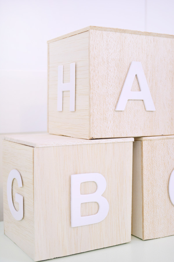DIY Wood Letter Home Decor with Letter Press Block Letters and Photos