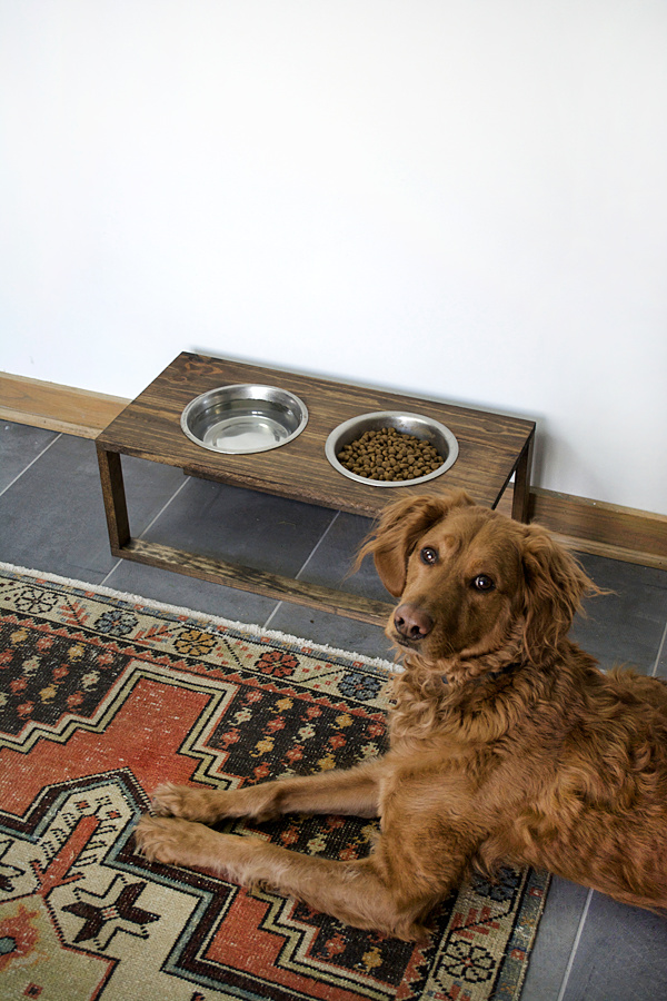 DIY Modern Dog Food Bowl Stand